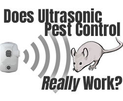 Ultrasonic Pest Control Units for Rodents