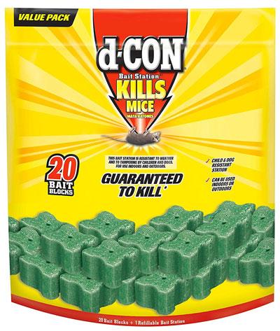 What's the Best Mouse Poison Solution? [Easy, Clean, Low-Cost]