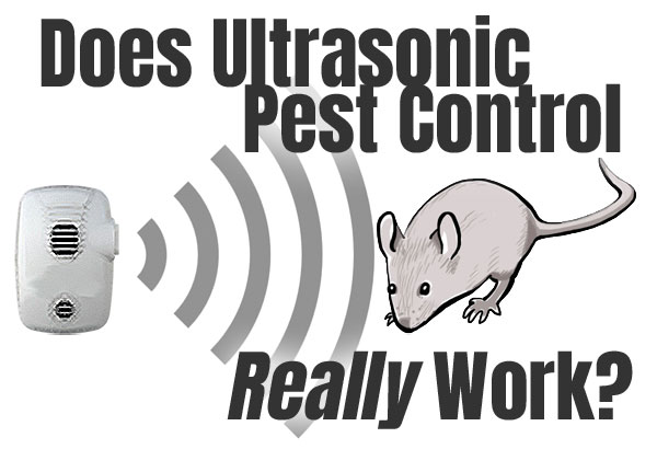 Do Ultrasonic Pest Control Units Really Work to Get Rid of Mice?