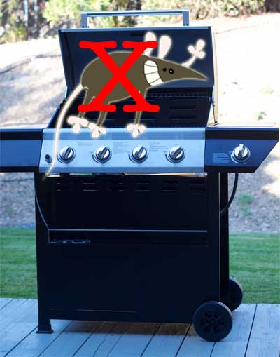 How to Keep Mice Out of Grill