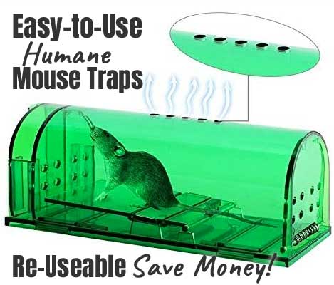 Re-Useable, Easy to Use Humane Mouse Traps