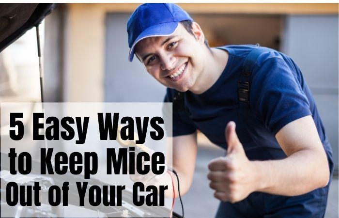 5 Easy Ways to Keep Mice Out of Your Car and Garage (Without Harming Them)