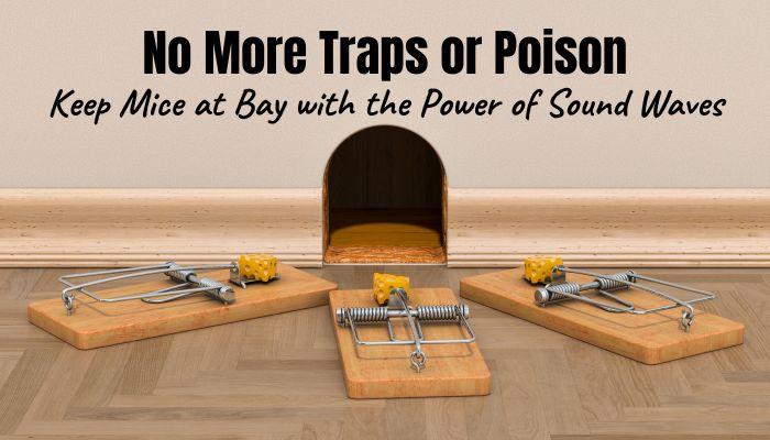 Mouse Repellent Sounds - How to Keep Mice Away with Ultrasonic Frequency Sound Waves and Without Traps or Poison!