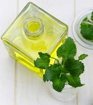 Peppermint Essential Oil to Get Rid fo Mice Naturally